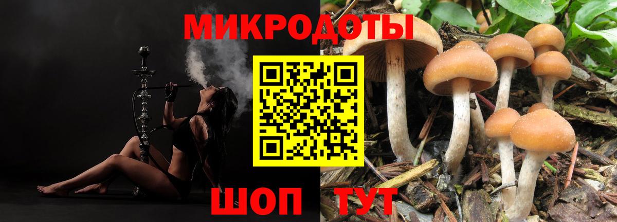 Губаха  Галлюциногенные грибы Magic Shrooms  Вход с VPN 