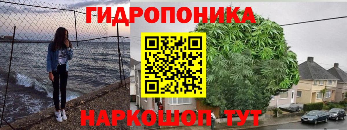 Шишки марихуана VHQ  Марихуана марихуана  МАРИХУАНА THC 21%  Вход с VPN  Губаха 
